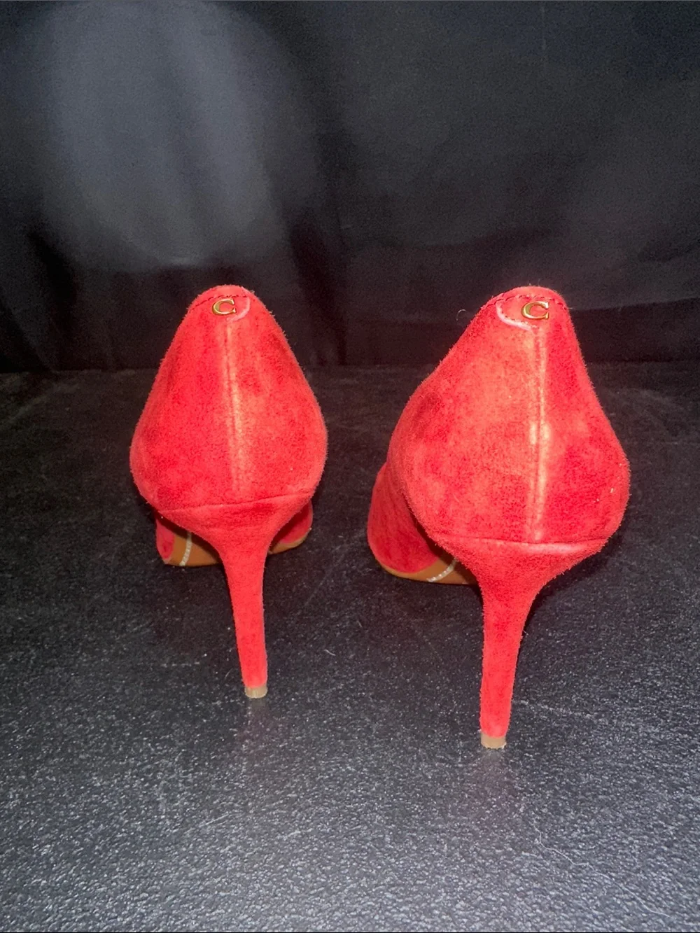 Coach Classic lipstick Red Suede Pointed-Toe Pumps
